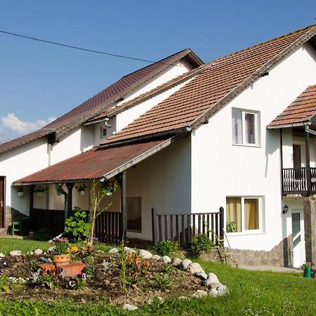 Casa Elena Vendégház Törcsvár Kültér fotó