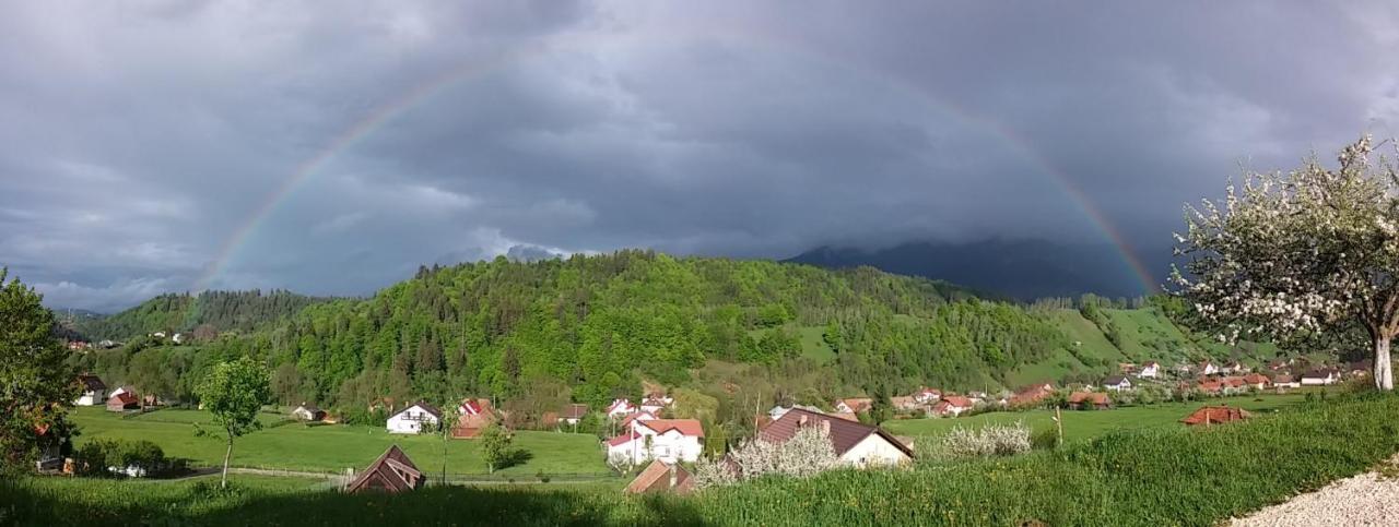 Casa Elena Vendégház Törcsvár Kültér fotó