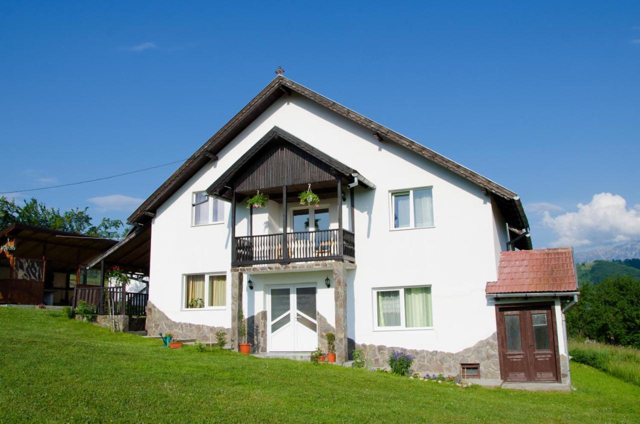 Casa Elena Vendégház Törcsvár Kültér fotó